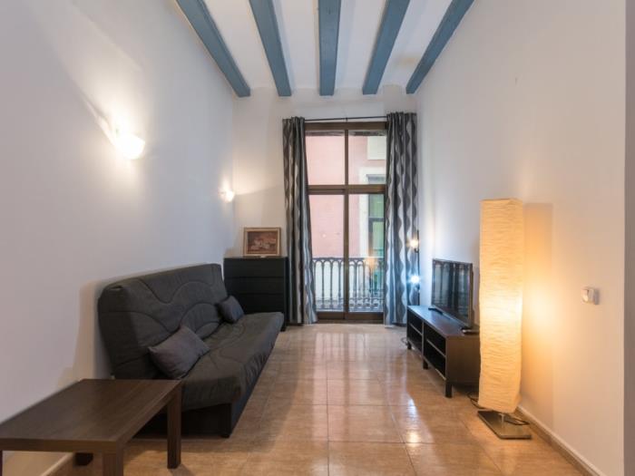 Appartamento con una camera da letto nel Quartiere Gotico vicino a Pompeu Fabra - My Space Barcelona Appartamenti