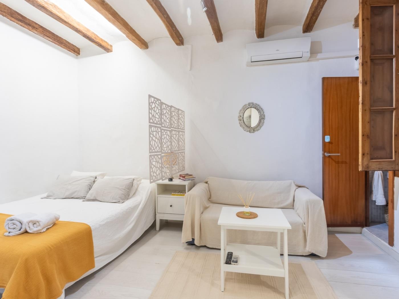 Affascinante Loft a El Born – Minimo 31 Notti, Posizione Top - My Space Barcelona Appartamenti