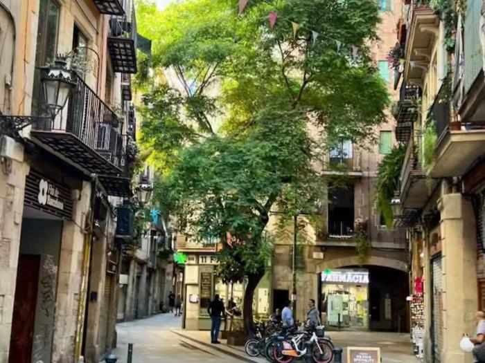 Affascinante Loft a El Born – Minimo 31 Notti, Posizione Top - My Space Barcelona Appartamenti