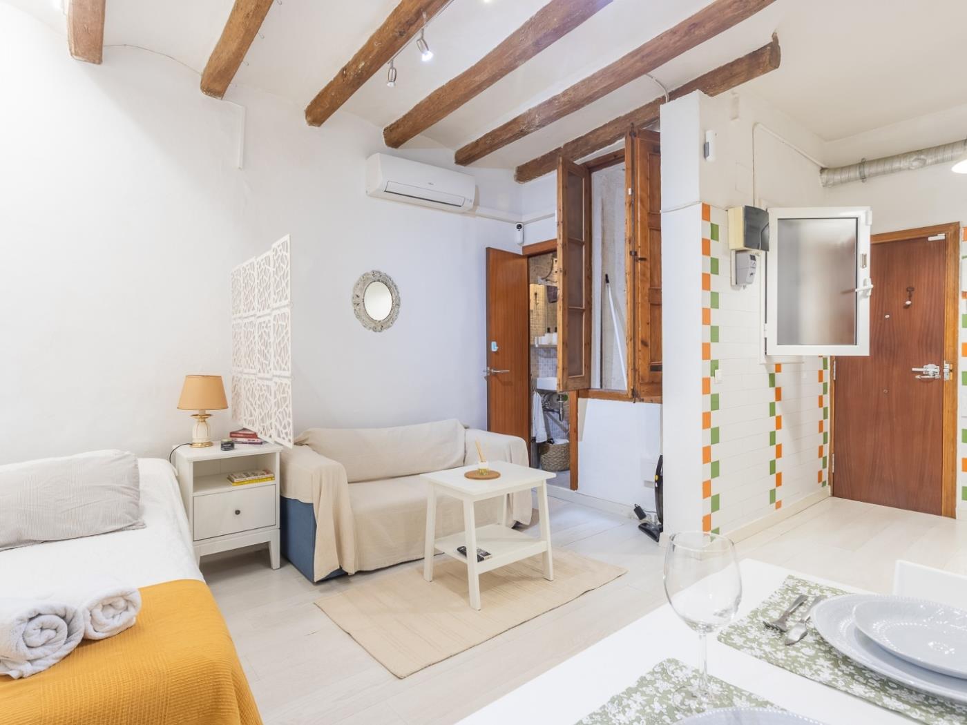Affascinante Loft a El Born – Minimo 31 Notti, Posizione Top - My Space Barcelona Appartamenti