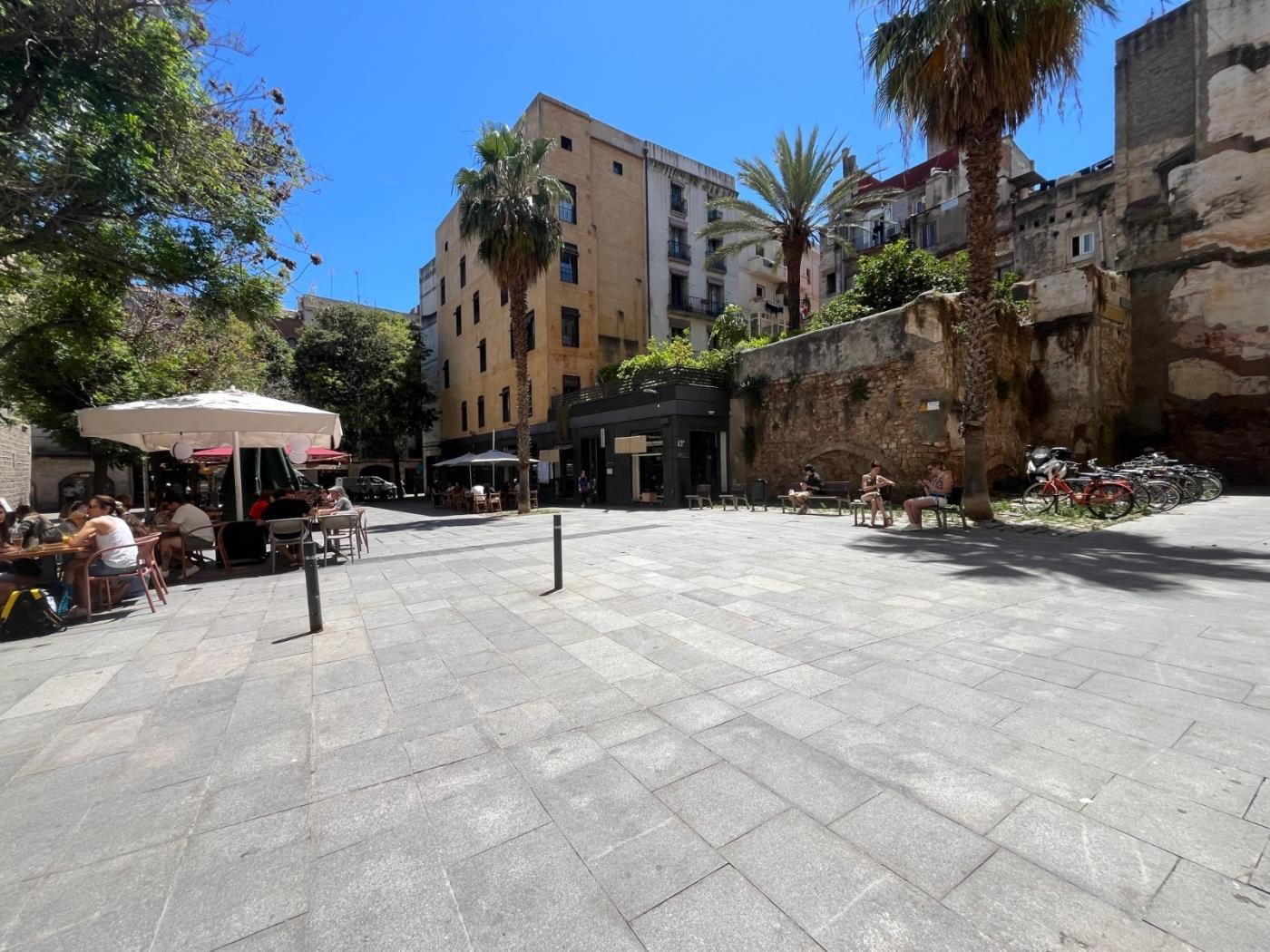Affascinante Loft a El Born – Minimo 31 Notti, Posizione Top - My Space Barcelona Appartamenti